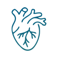 Successful Bloodless Aortic Valve Replacement in a Jehovah’s Witness Congo Patient