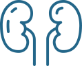 Kidney Transplant